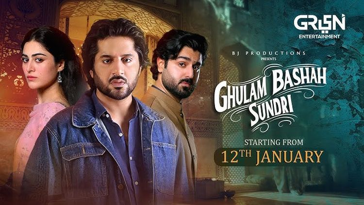 Раб, король и красавица (2026) смотреть онлайн пакистанский сериал на русском языке